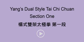 Yang's Dual Style Section One