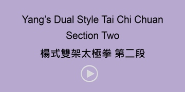 Yang's Dual Style Section Two