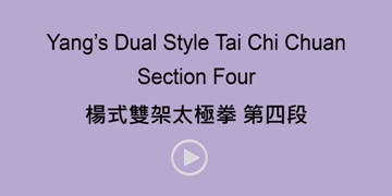 Yang's Dual Style Section 4