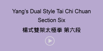 Yang's Dual Style Section Six
